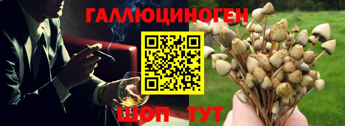 Галлюциногенные грибы ЛСД Карачаевск